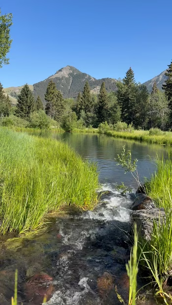 Andreea Diaconu - Photo 4