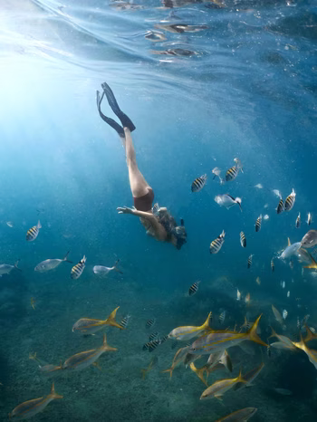 Bella Hadid - Photo 8