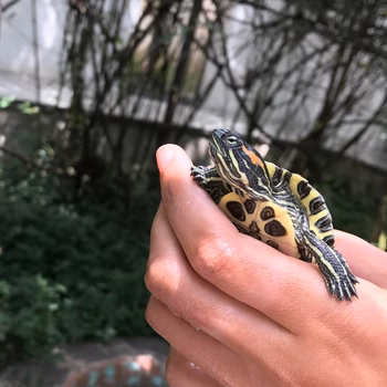 Binx Walton - Photo 4