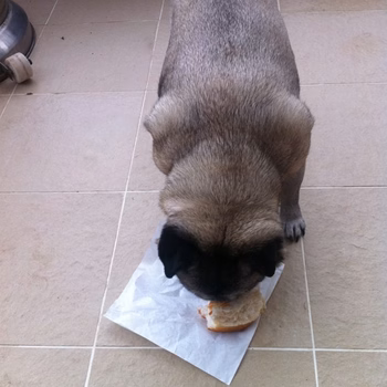 Lara Stone - Photo 6