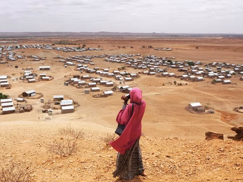 Lily Donaldson - Photo 2